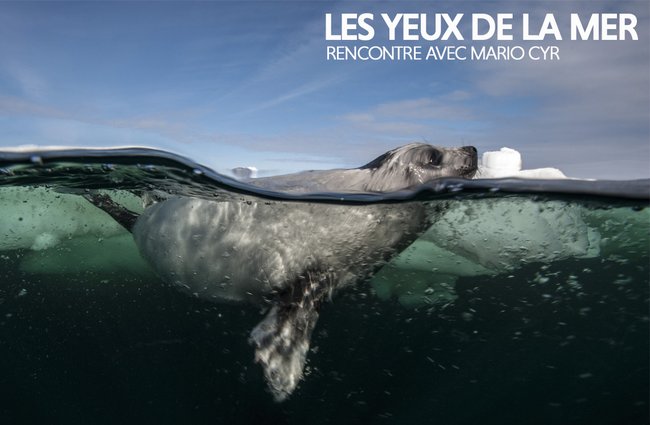 LGE_2627_HS_1140x746